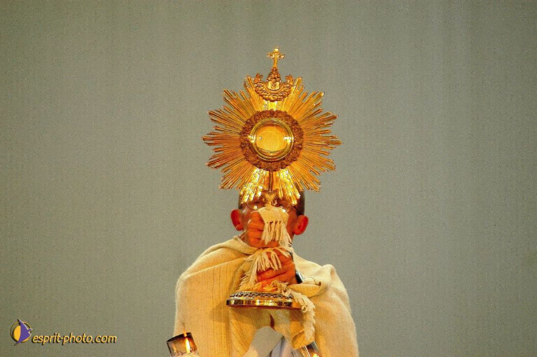 Nom de l'image : EP08-0005_(c)Norbert-JUNG — Description :